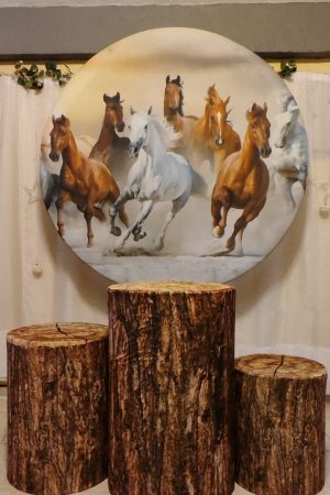 CABALLOS - TRIO + PANEL