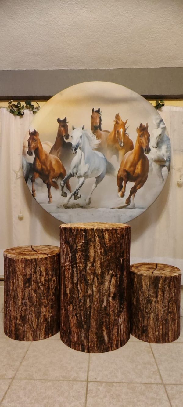 CABALLOS - TRIO + PANEL
